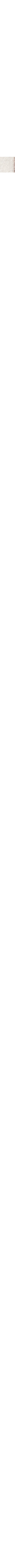 Blanc cassé
