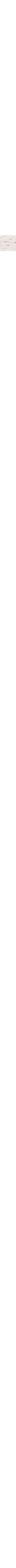 Patterned Ecru