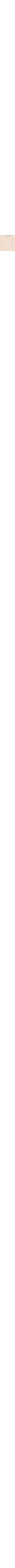 Patterned Ecru