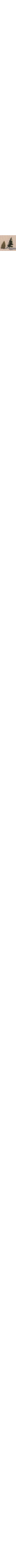 Patterned Ecru