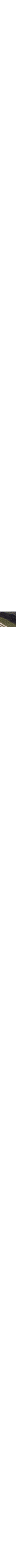 Vert à motifs
