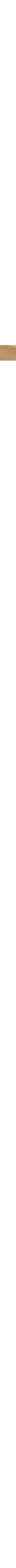 Érable