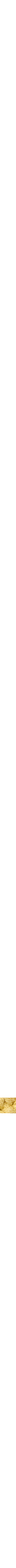 Jaune doré