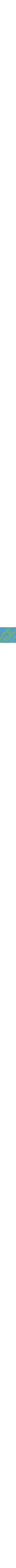 Orange et bois de santal