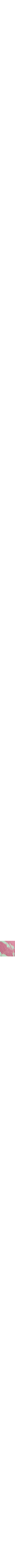 Ambre et vétiver