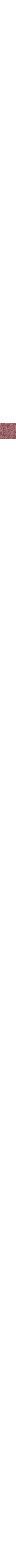 Poivre noir et romarin