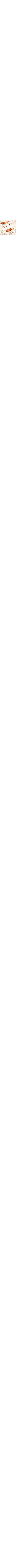 Ecru/Linen