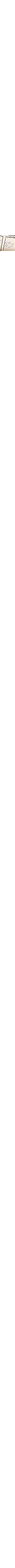 Patterned Ecru