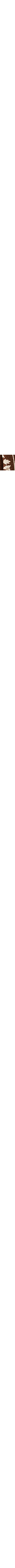 Brun à motifs