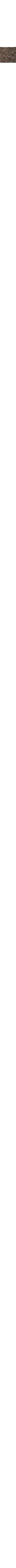Charbon