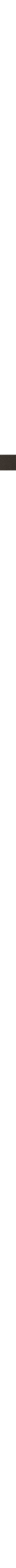 Brun à motifs