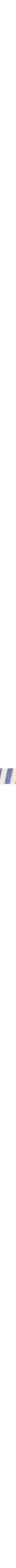 Bleu à motifs