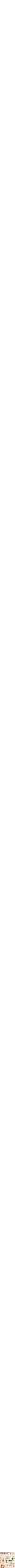 Assorti