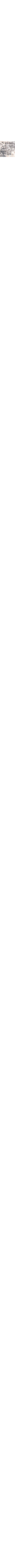 Noir à motifs