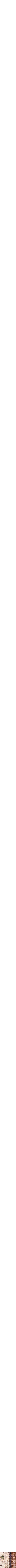 Assorti