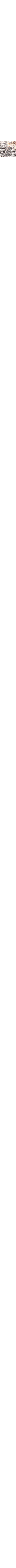 Noir à motifs