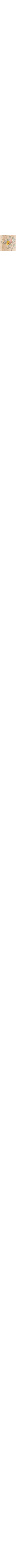 Patterned Ecru