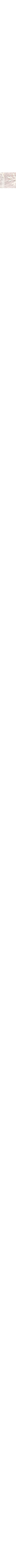 Blanc cassé