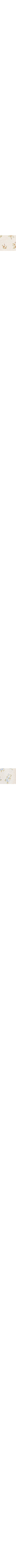Patterned Blue