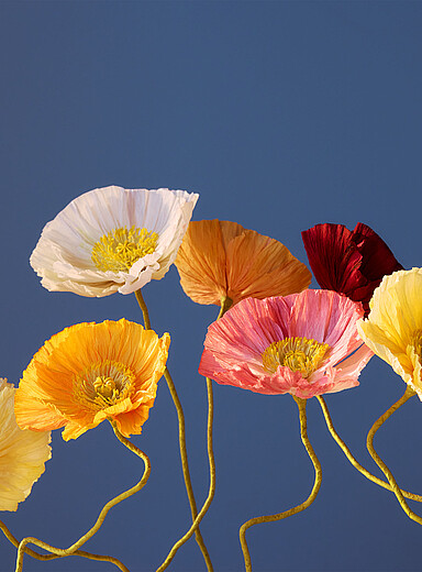 Paper Iceland poppy stem