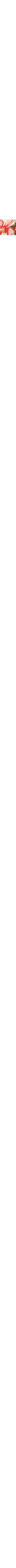 Ecru/Linen