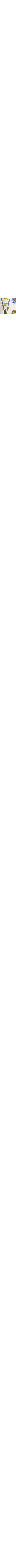 Blanc à motifs