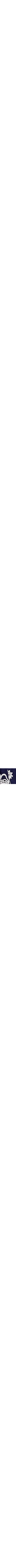 Bleu à motifs