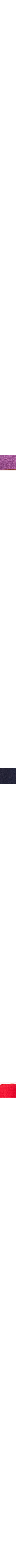 Brun à motifs