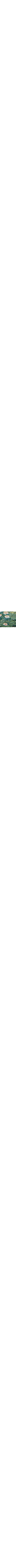 Vert à motifs