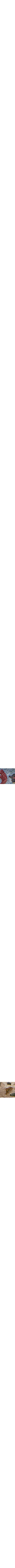 Patterned Blue