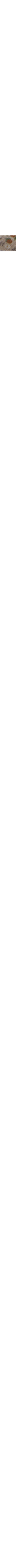 Patterned Ecru