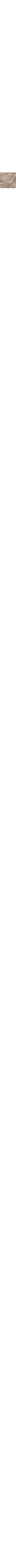Blanc cassé