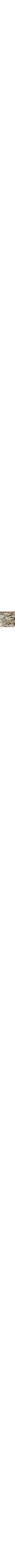 Vert à motifs