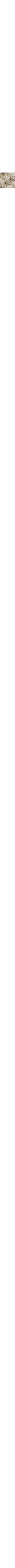 Blanc cassé