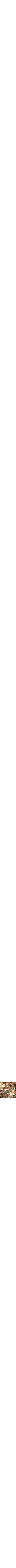 Rouge à motifs