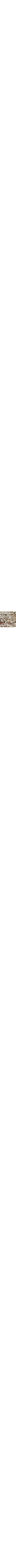Vert à motifs