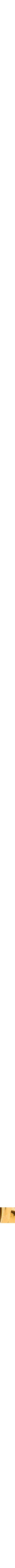 Assorti