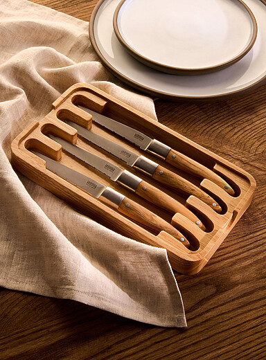 Expression steak knife set 4-pack