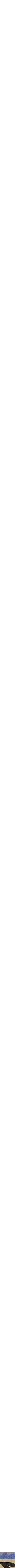 Assorti