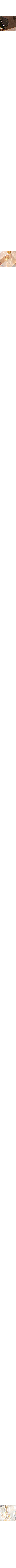 Assorti