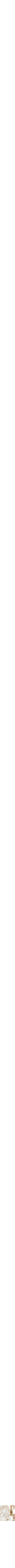 Assorti
