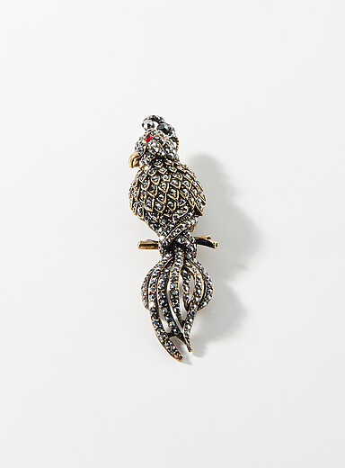 Shimmery parrot brooch