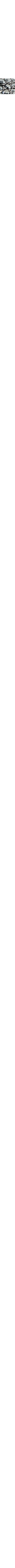 Slate Grey