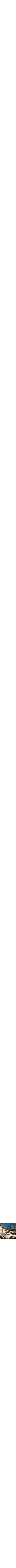 Assorti