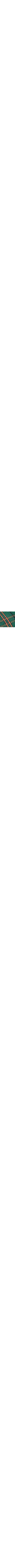 Vert à motifs