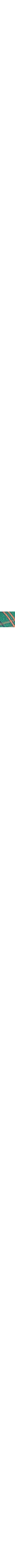Vert à motifs