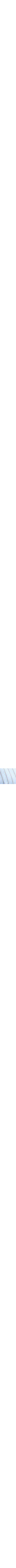 Patterned Blue