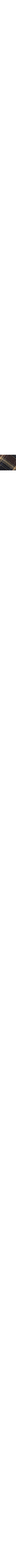 Brun à motifs