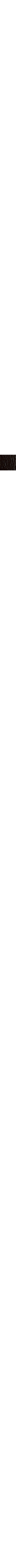 Brun à motifs