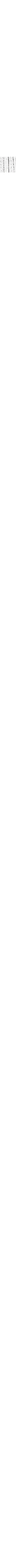 Ivoire et noir